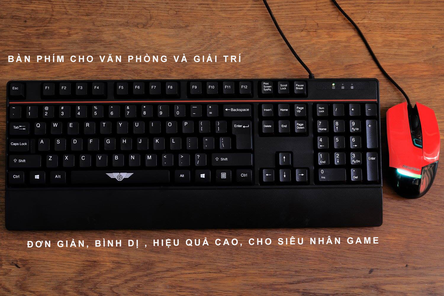 Bàn Phím Newmen E340